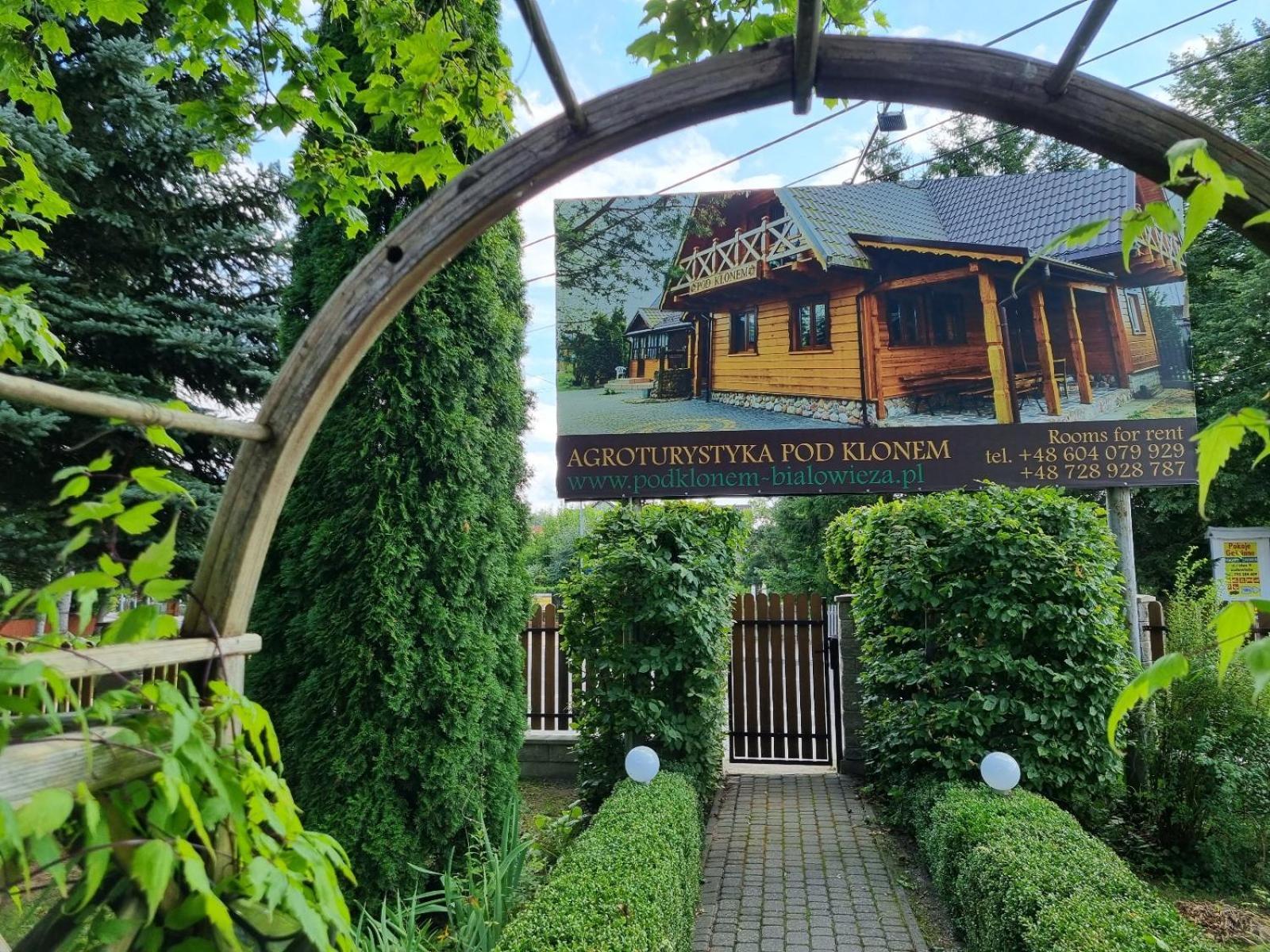 Domek Pod Klonem Agroturystyka Białowieża Extérieur photo